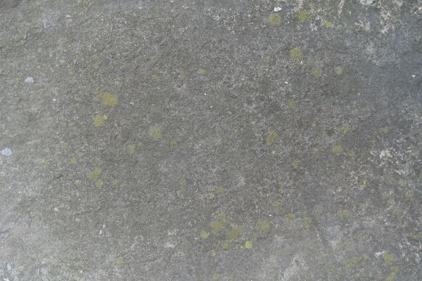 Cost of Slab Staining Service in Vancouver